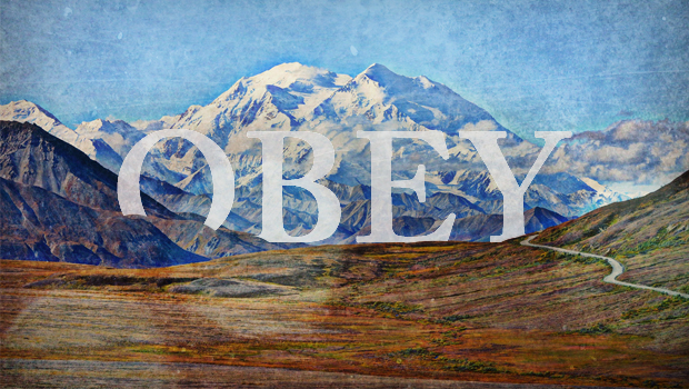 OBEY!!!